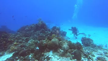 Monitoreo Paraiso 3